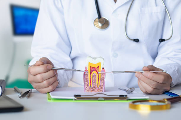 Best Emergency Root Canal Treatment in Pueblo West, CO